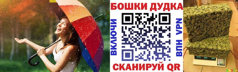 Конопля Amnesia  Купить где  Саратов 